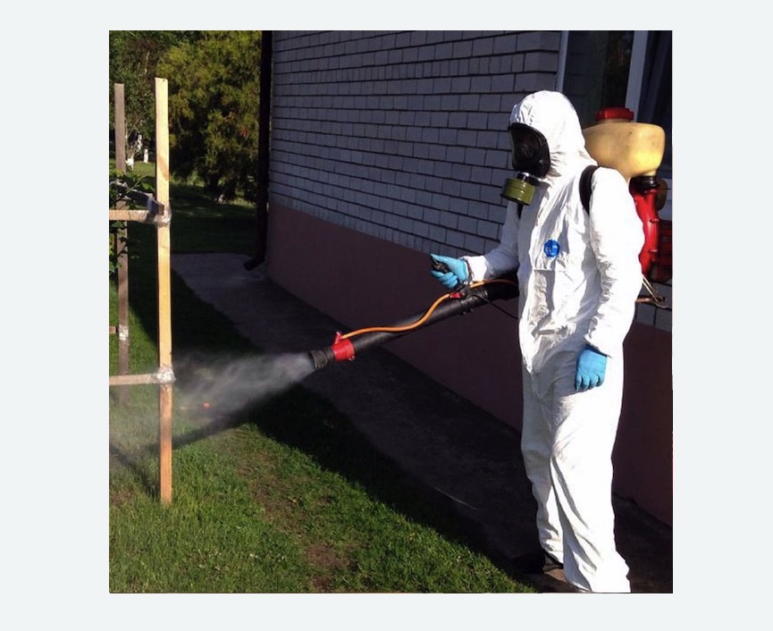 уничтожение клещей на участке травля клещей на участке в Магадане